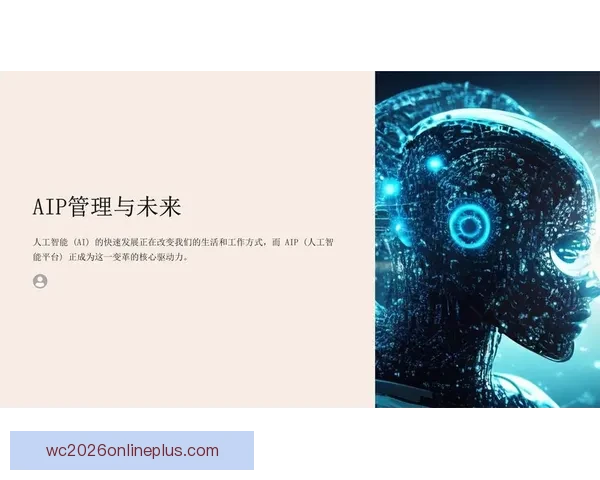 伯明翰俱乐部历史沿革与未来发展方向探析